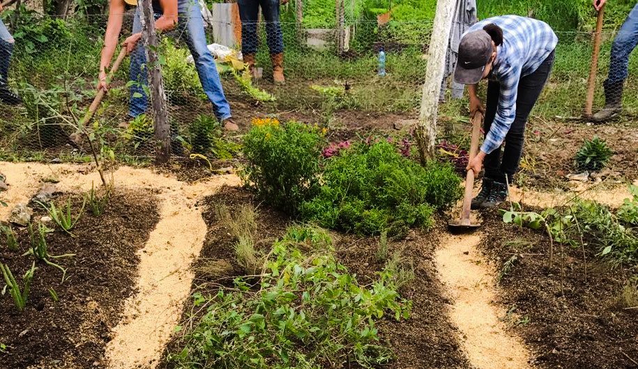 UNPRG – The Agronomist Engineer Escurra Clso: Contributions, Education, and Legacy